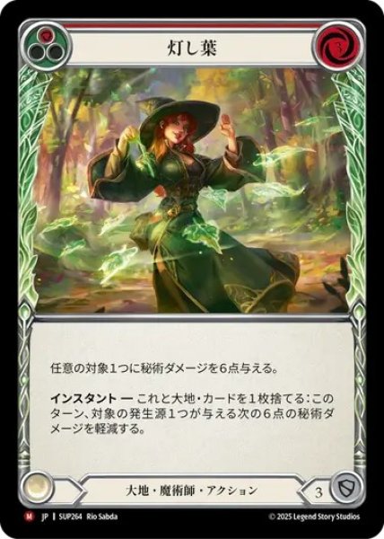 画像1: 【JPN】[大地 魔術師] 灯し葉 / 光 Up the Leaves [SUP] (1)