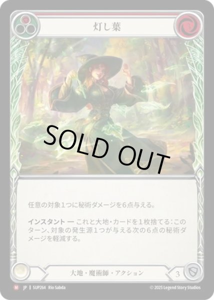 画像1: 【JPN】[大地 魔術師] 灯し葉 / 光 Up the Leaves [SUP] (1)